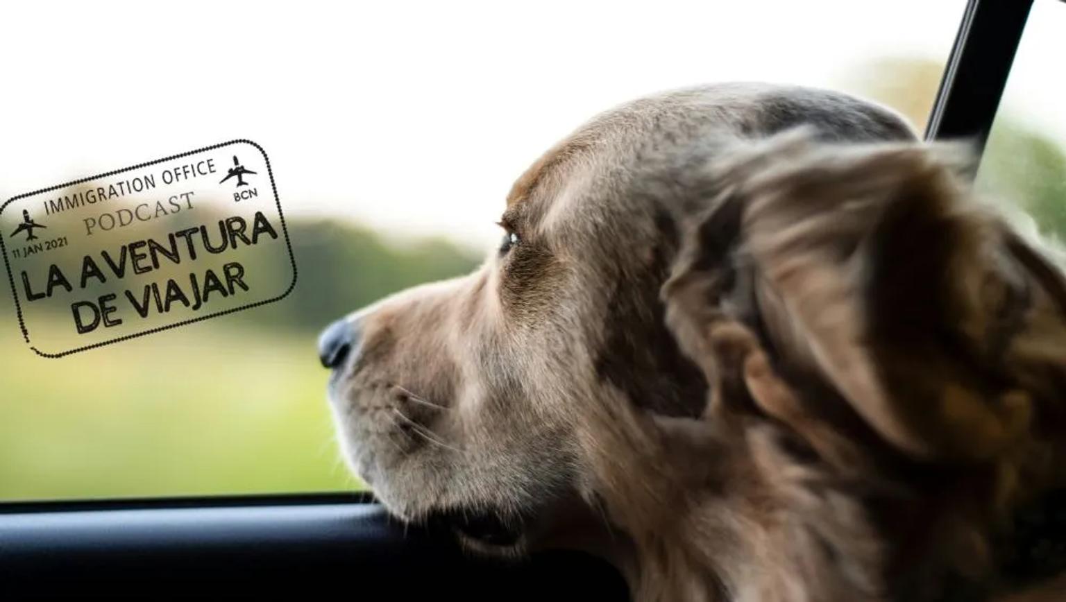 Podcast viajar con perros