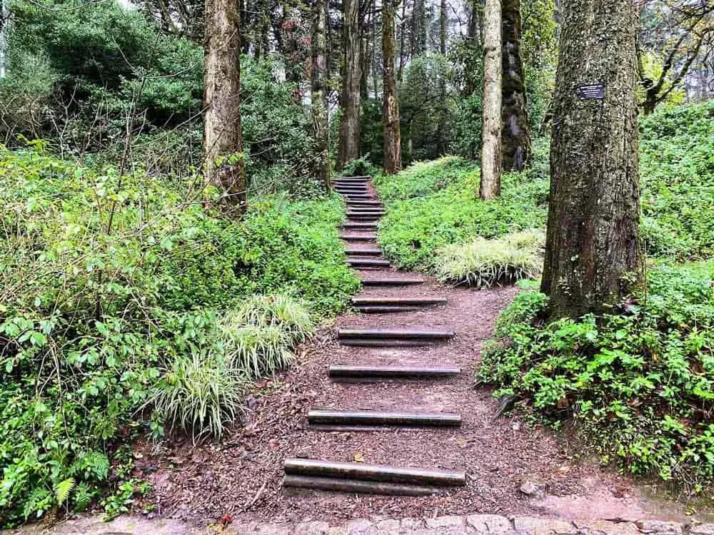 los bosques de Sintra y el Convento dos Capuchos
