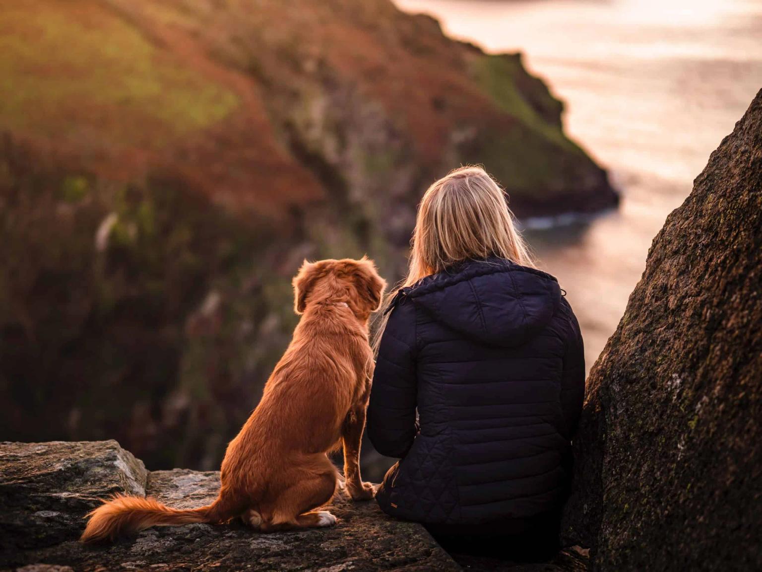 melhor seguro de viagem para viajar com animal de estimação