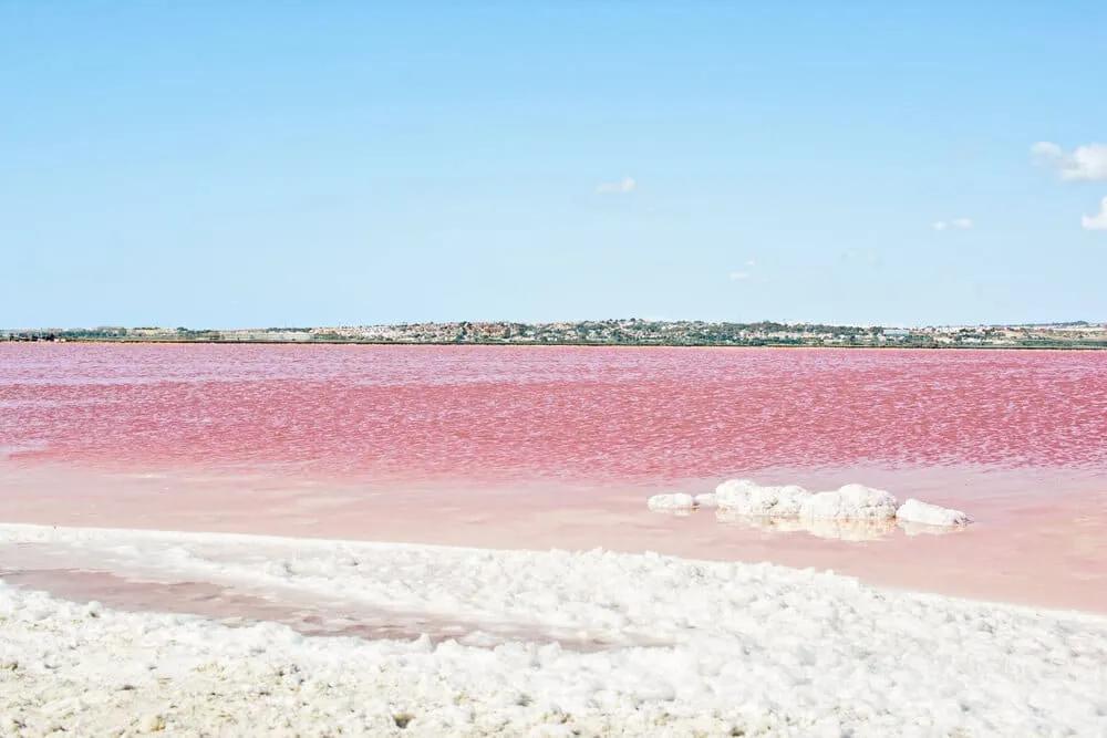 margem das salinas de torrevieja em espanha