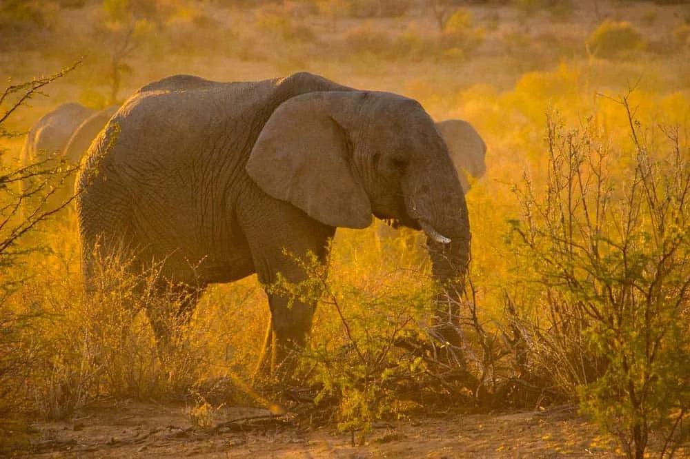 documentos de viaje a Namibia