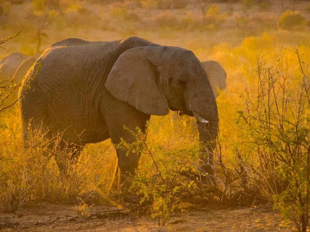 documentos de viaje a Namibia