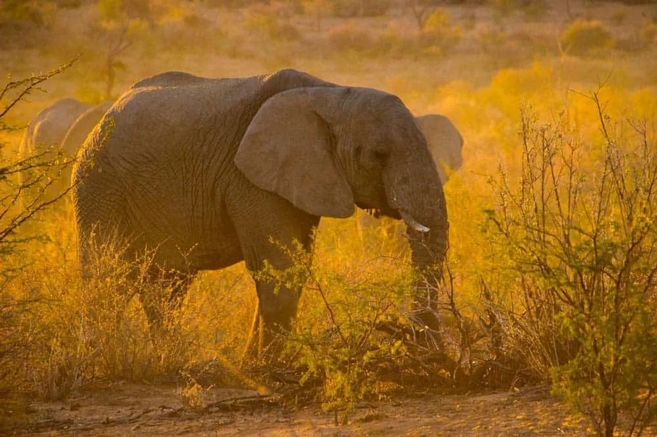 documentos de viaje a Namibia