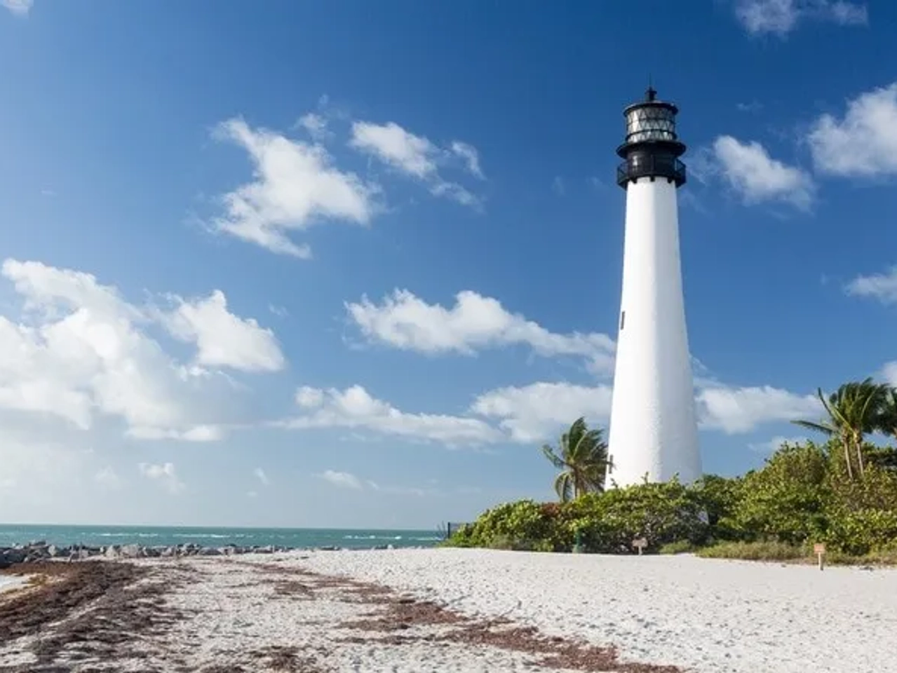 Faro blanco en la playa, rodeado de palmeras y mar azul.