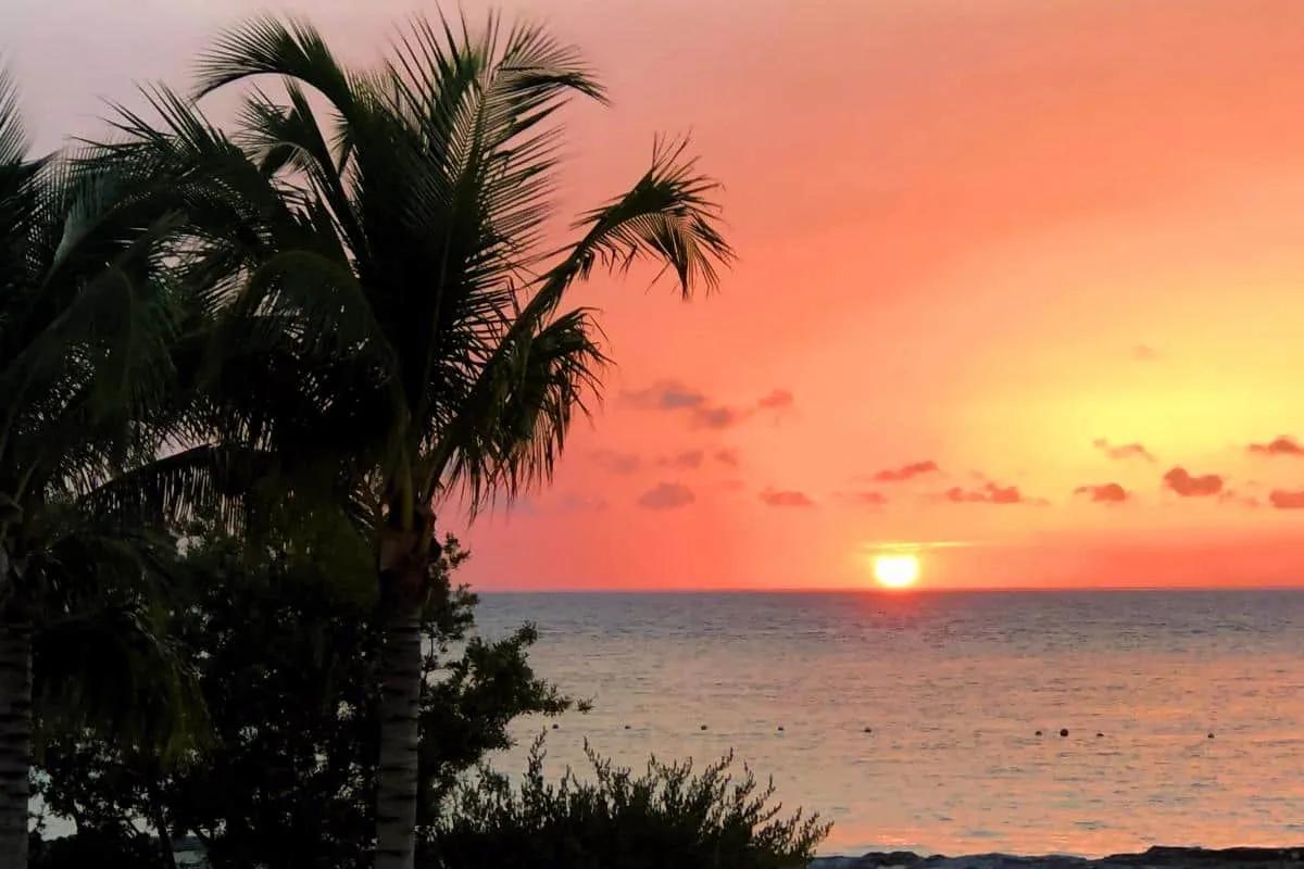 Qué hacer en Cozumel