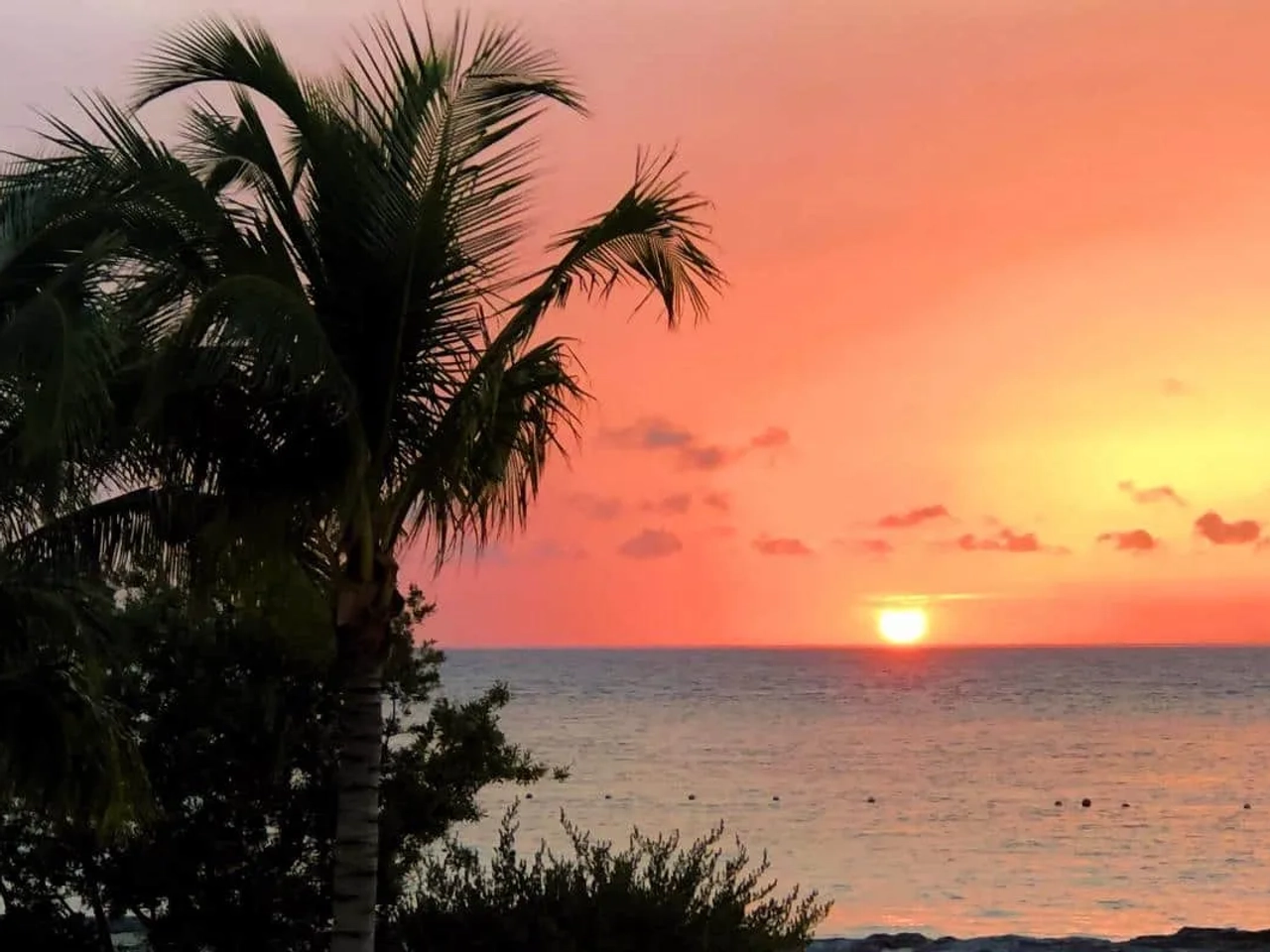 Qué hacer en Cozumel