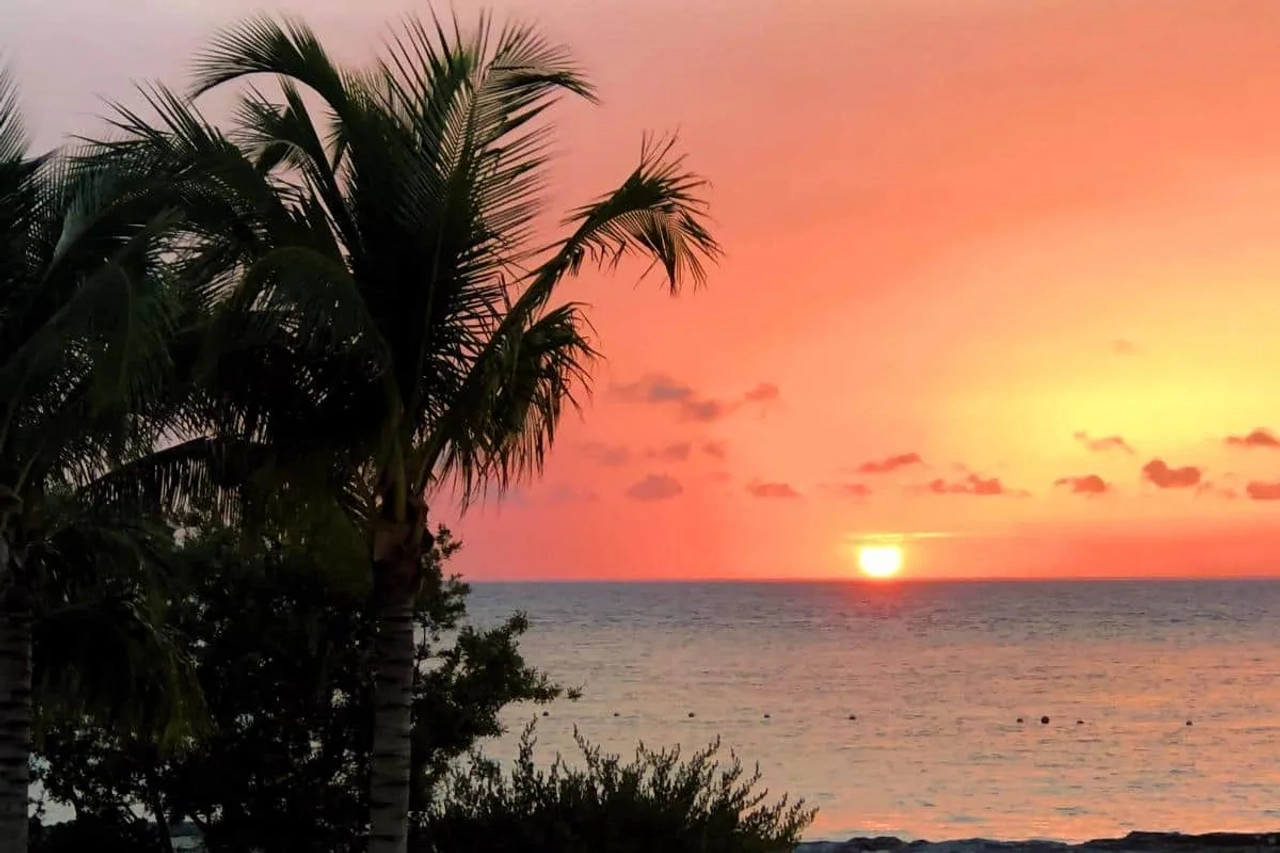 Qué hacer en Cozumel