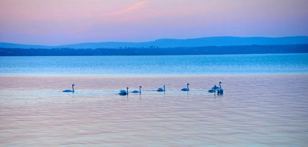 precio del seguro para viaje a Budapest