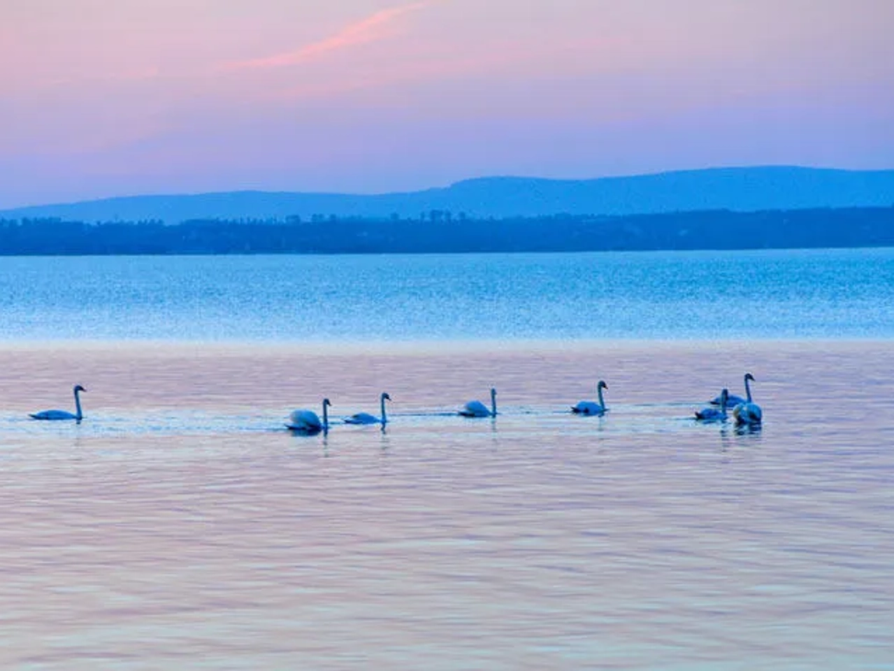 precio del seguro para viaje a Budapest