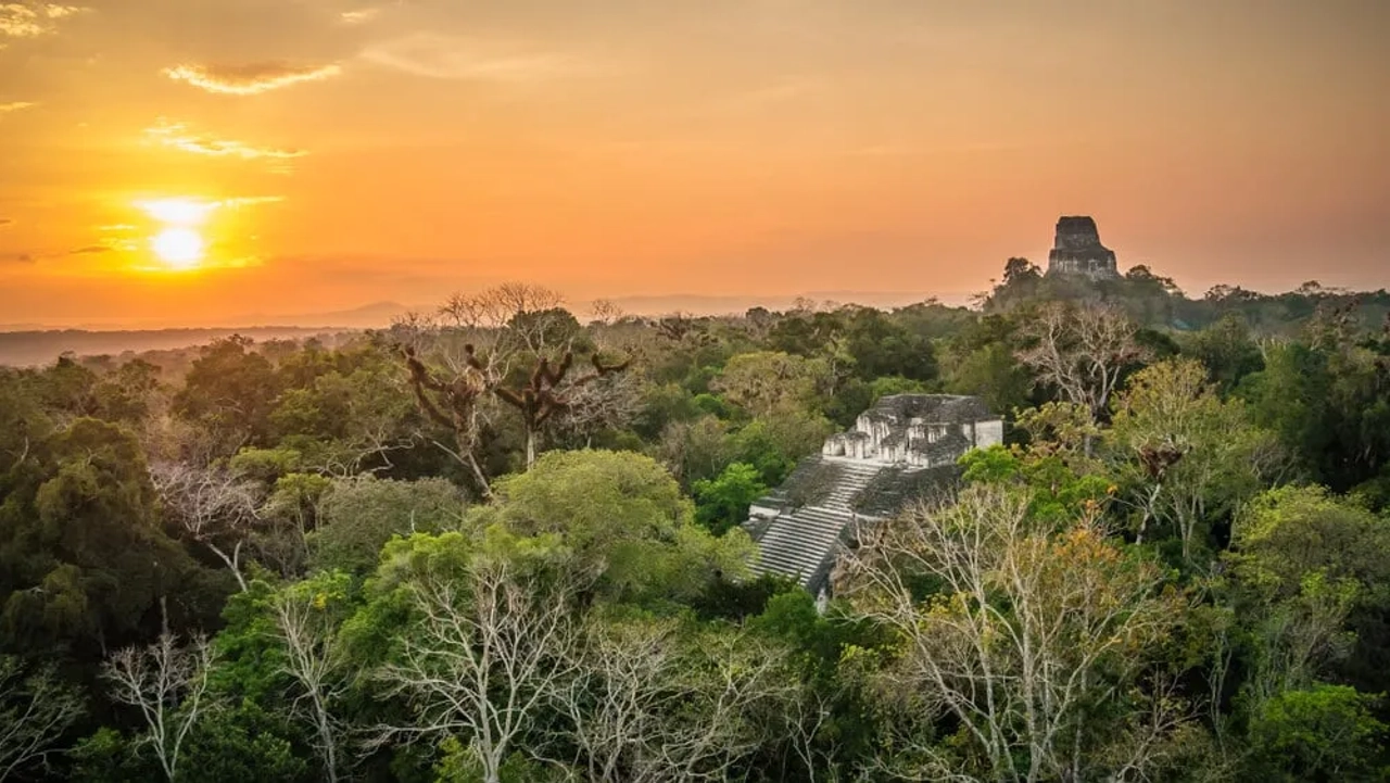 vista aerea das ruinas de tikal ao por do sol