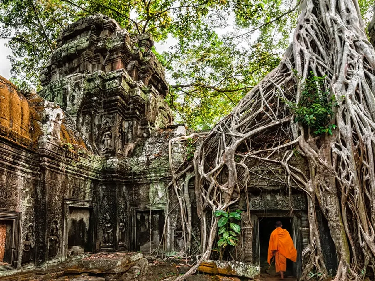 monge budista em ta prohm