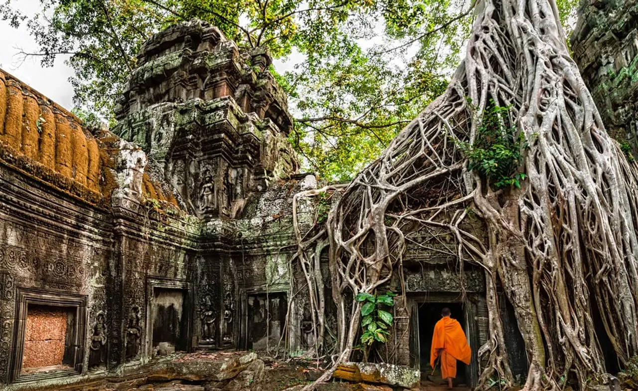 monge caminha pelas ruinas de angkor wat