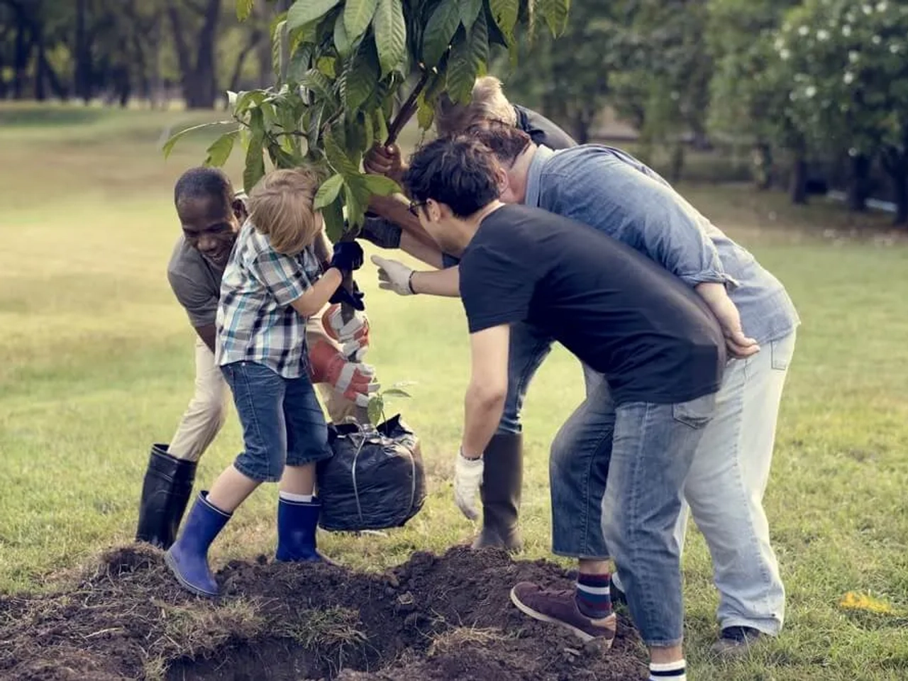jovens turistas plantam uma arvore