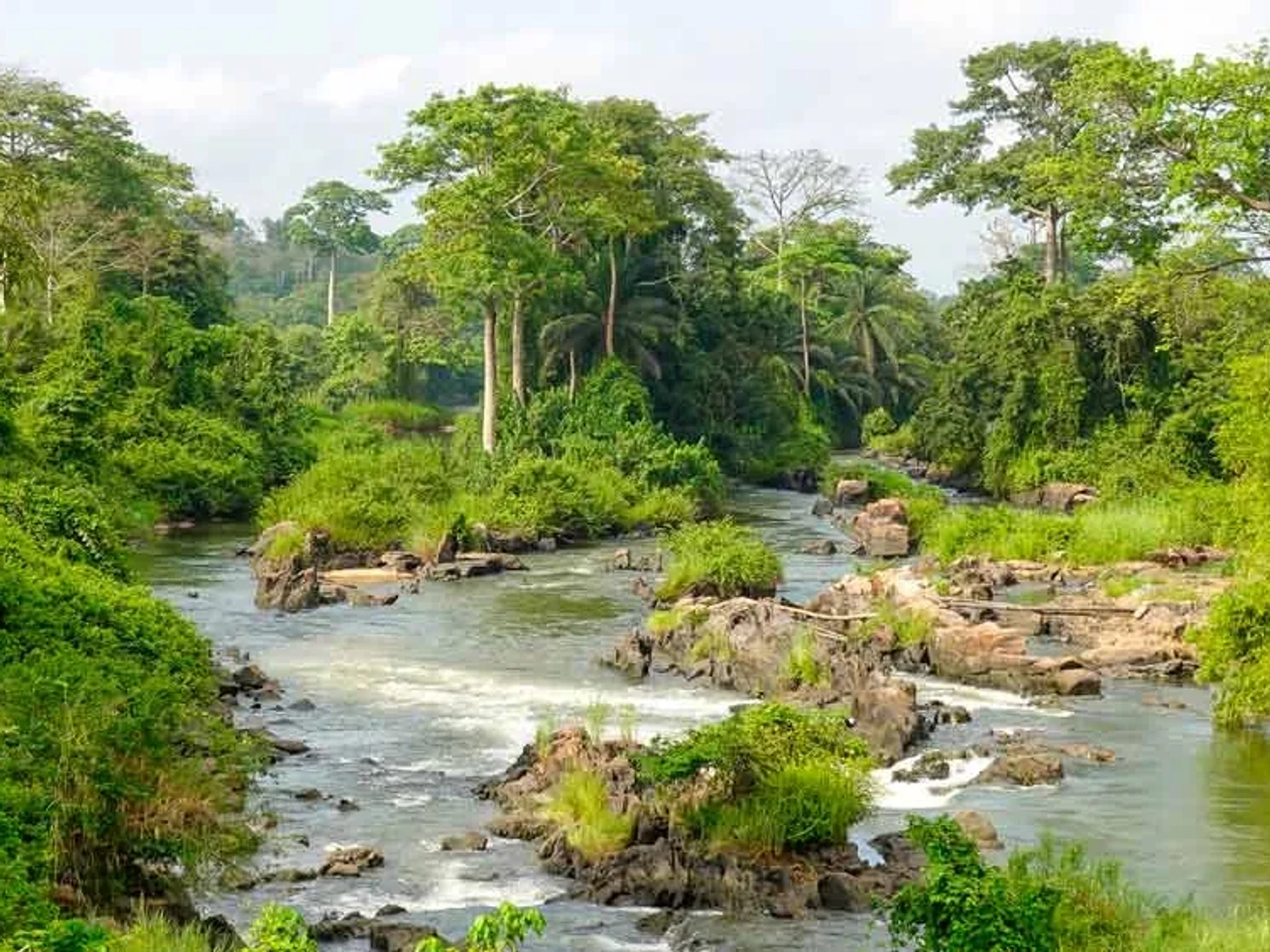 Seguro internacional para viajar a Costa de Marfil