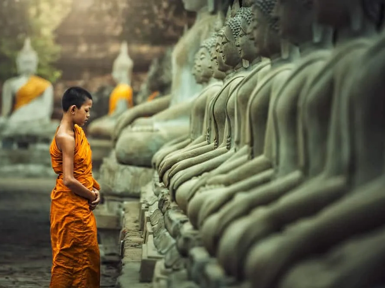 monge budista a rezar em frente a varias estatuas