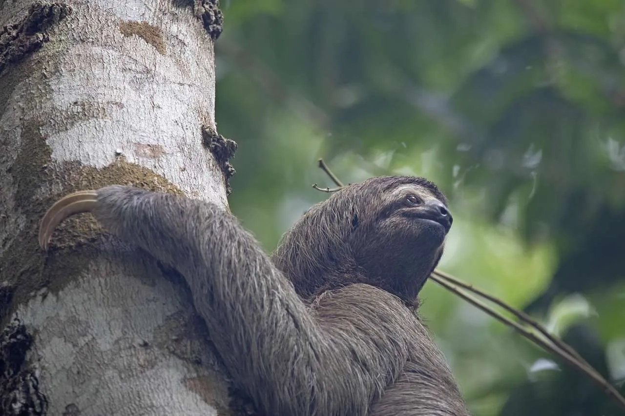 viaje a Costa Rica
