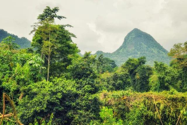 vista de arvores e montanhas verdes em sao tome e principe