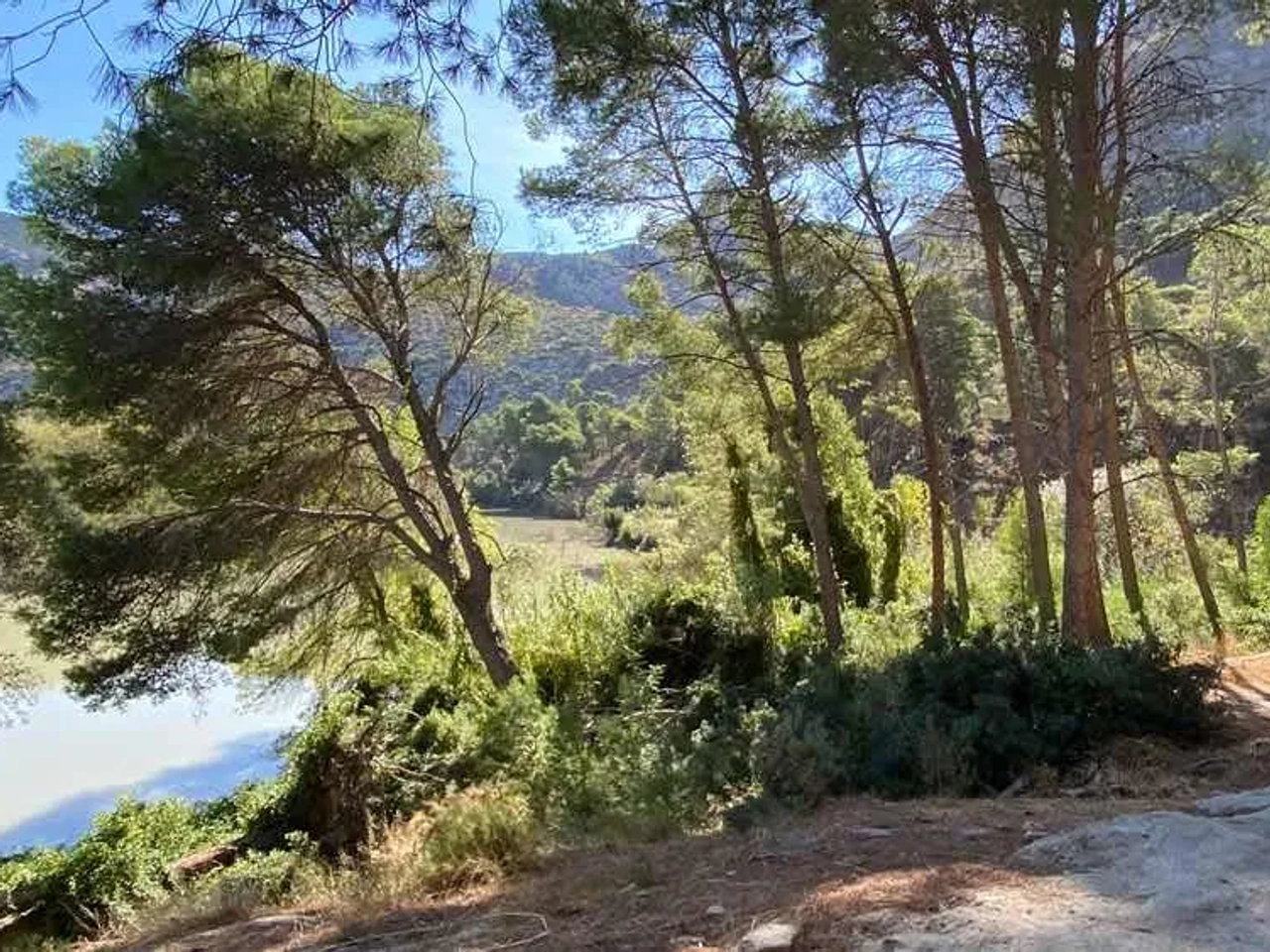 paisagem com árvores no caminito del rey