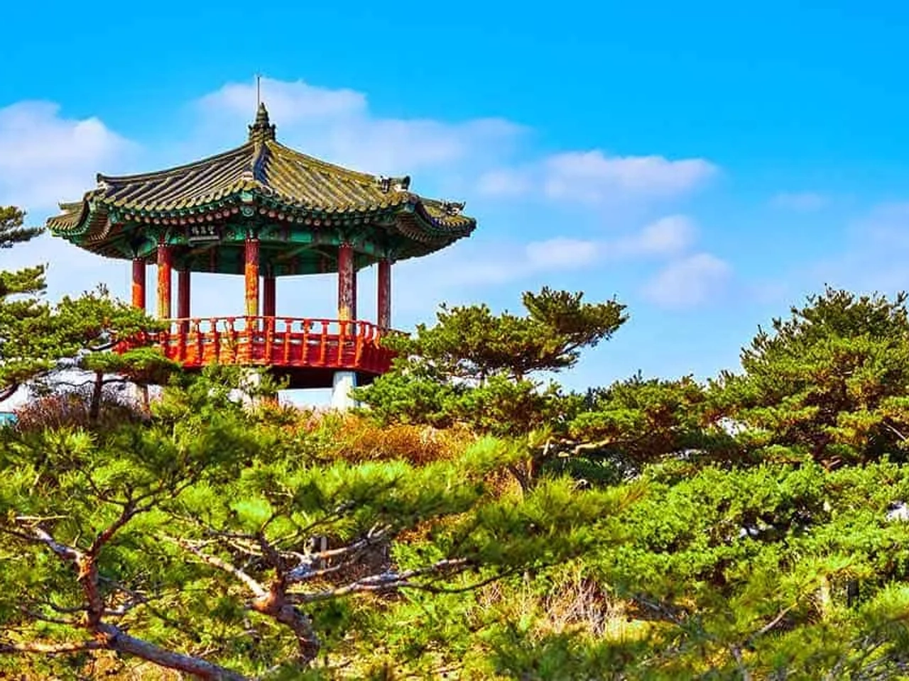 qué seguro para Corea del Sur contratar