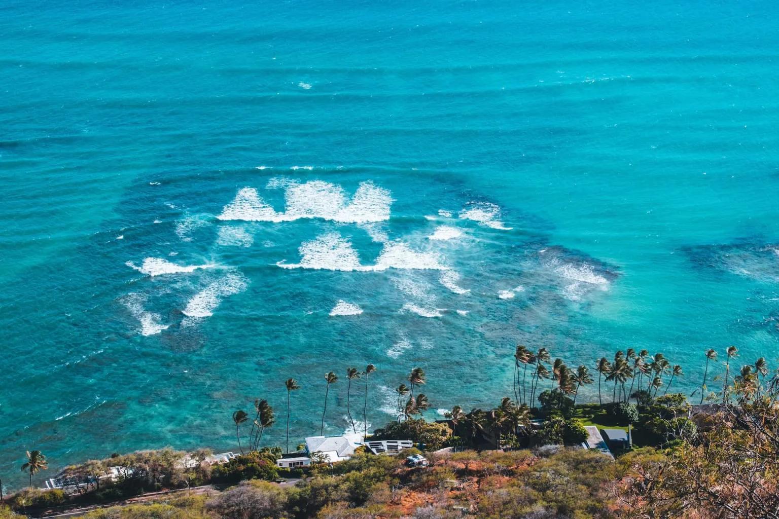 Vista aérea de águas azuis com ondas e palmeiras em uma costa havaiana.