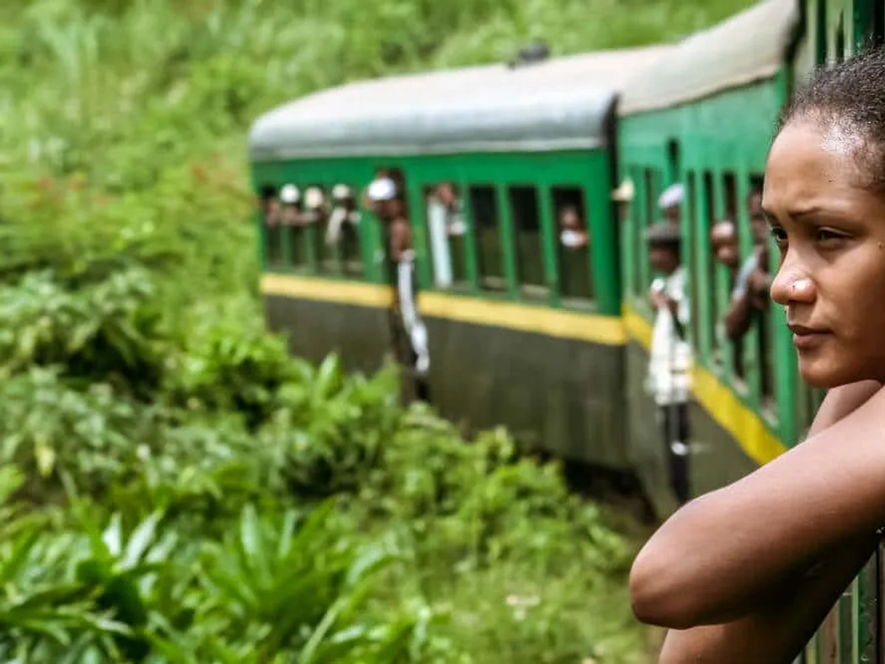comboio pela selva de madagascar