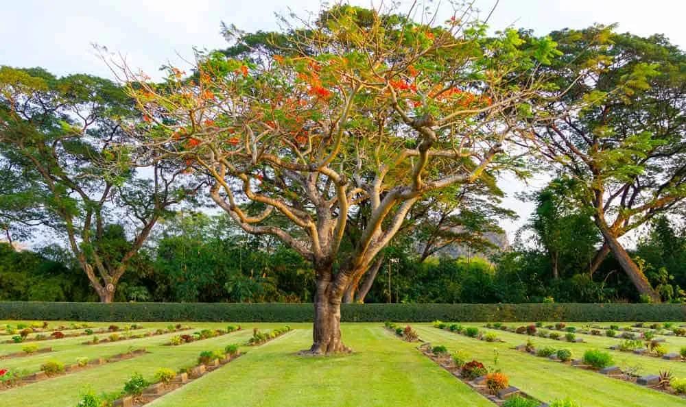 Qué hacer en Kanchanaburi