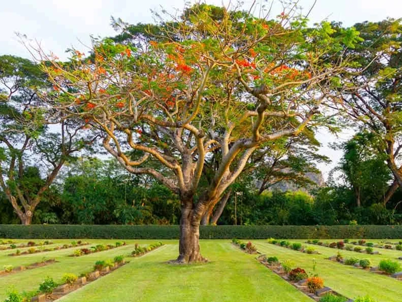 Qué hacer en Kanchanaburi