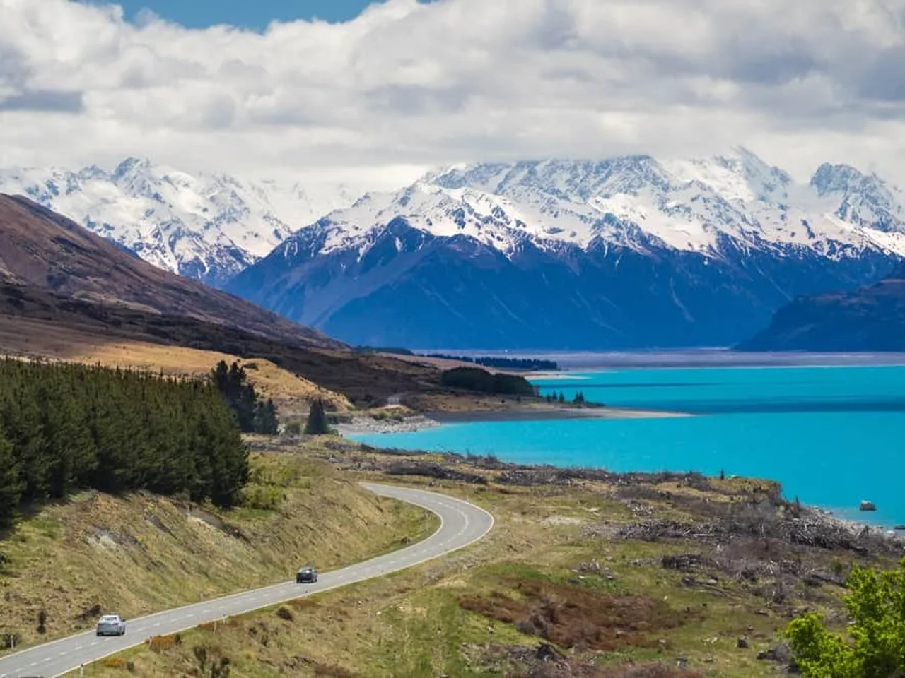 gasolina en Nueva Zelanda