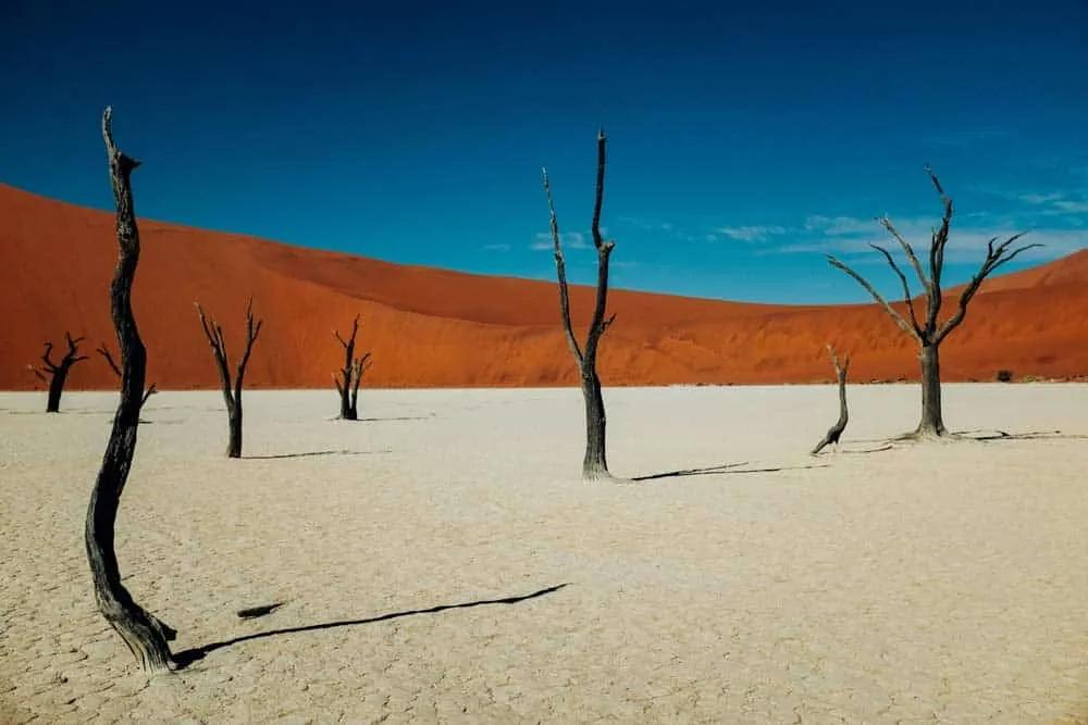 visitar el desierto del Namib