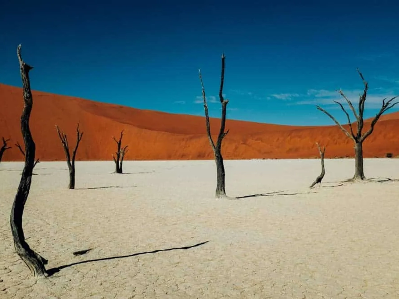 visitar el desierto del Namib