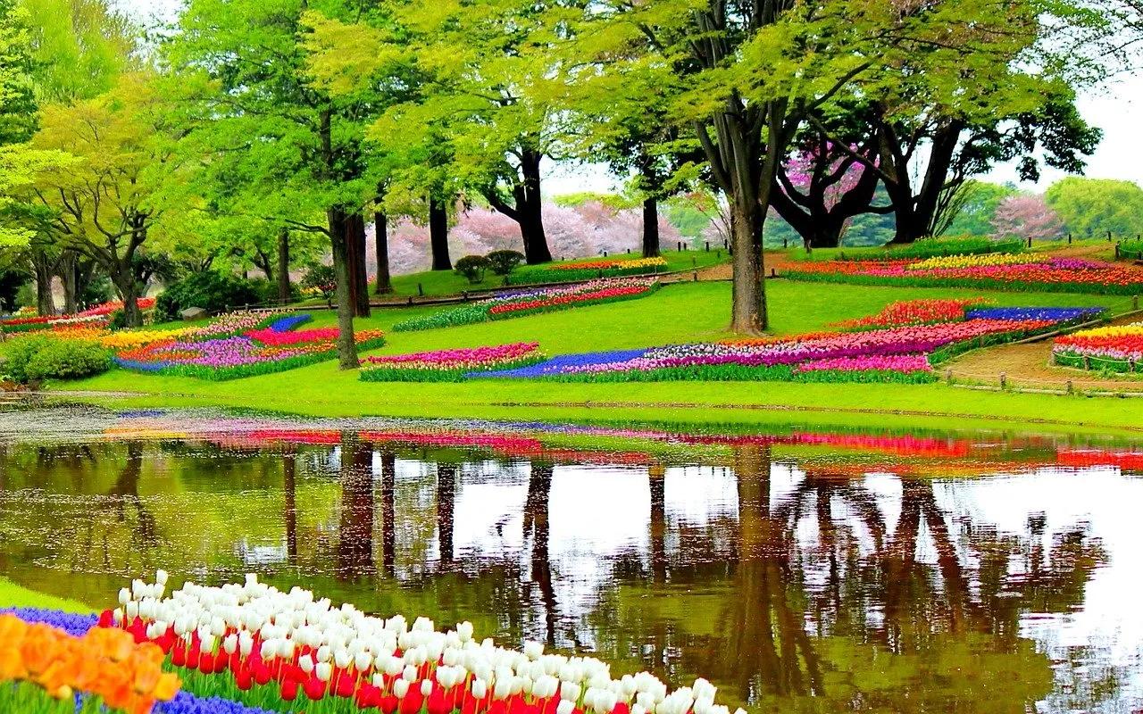 keukenhof jardim holanda