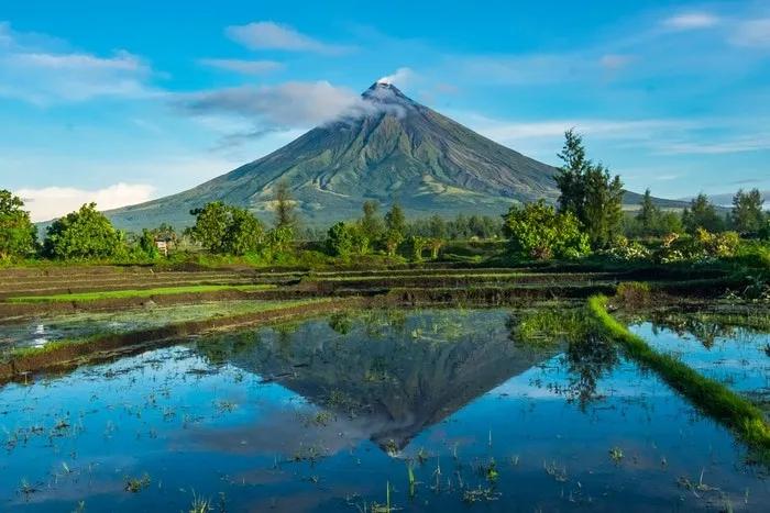 Volcán Mayón reflejado en arrozales, rodeado de vegetación y cielo despejado.