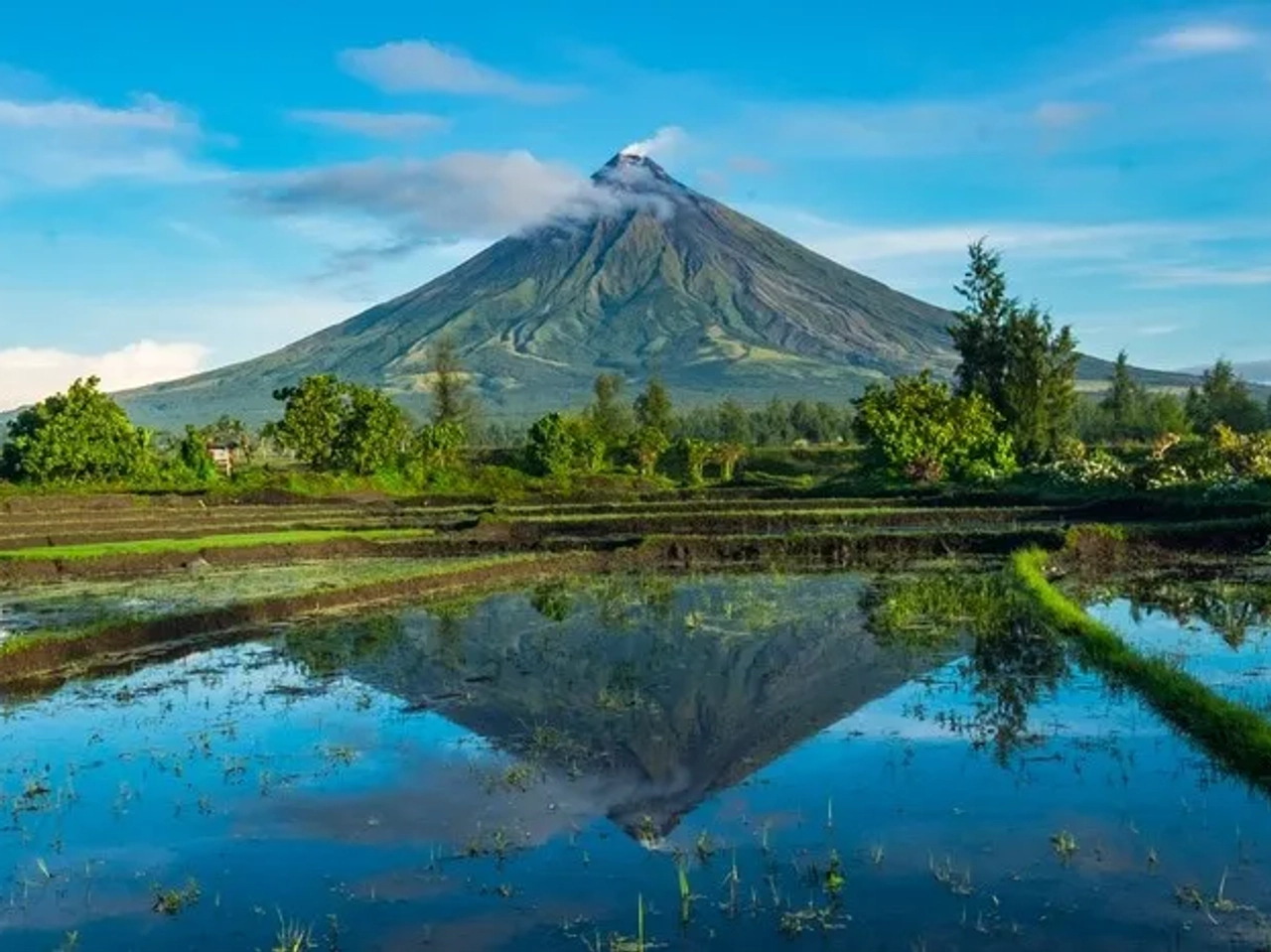 Volcán Mayón reflejado en arrozales, rodeado de vegetación y cielo despejado.