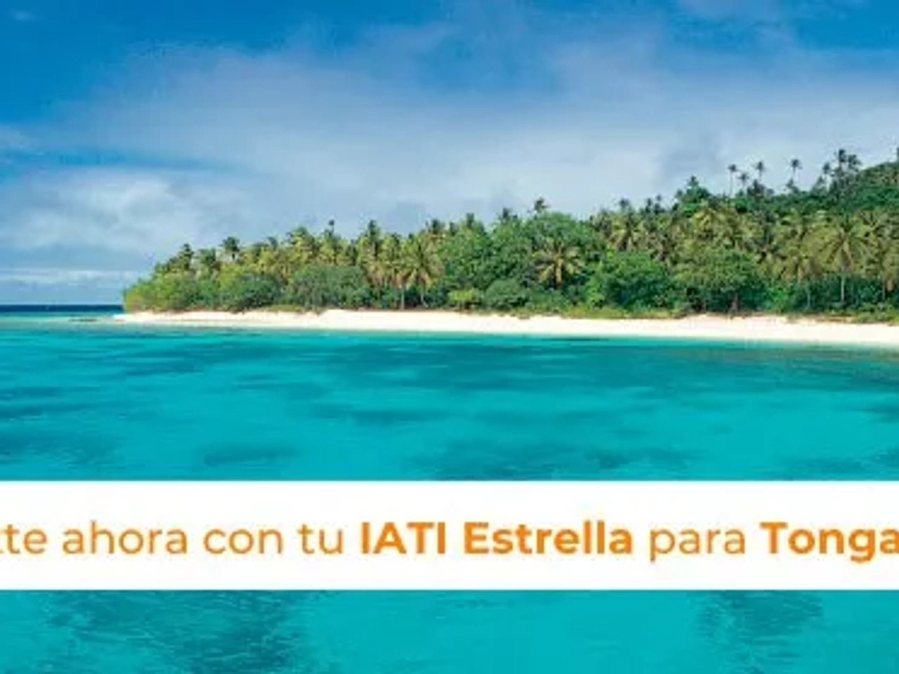 contratar seguro para Tonga
