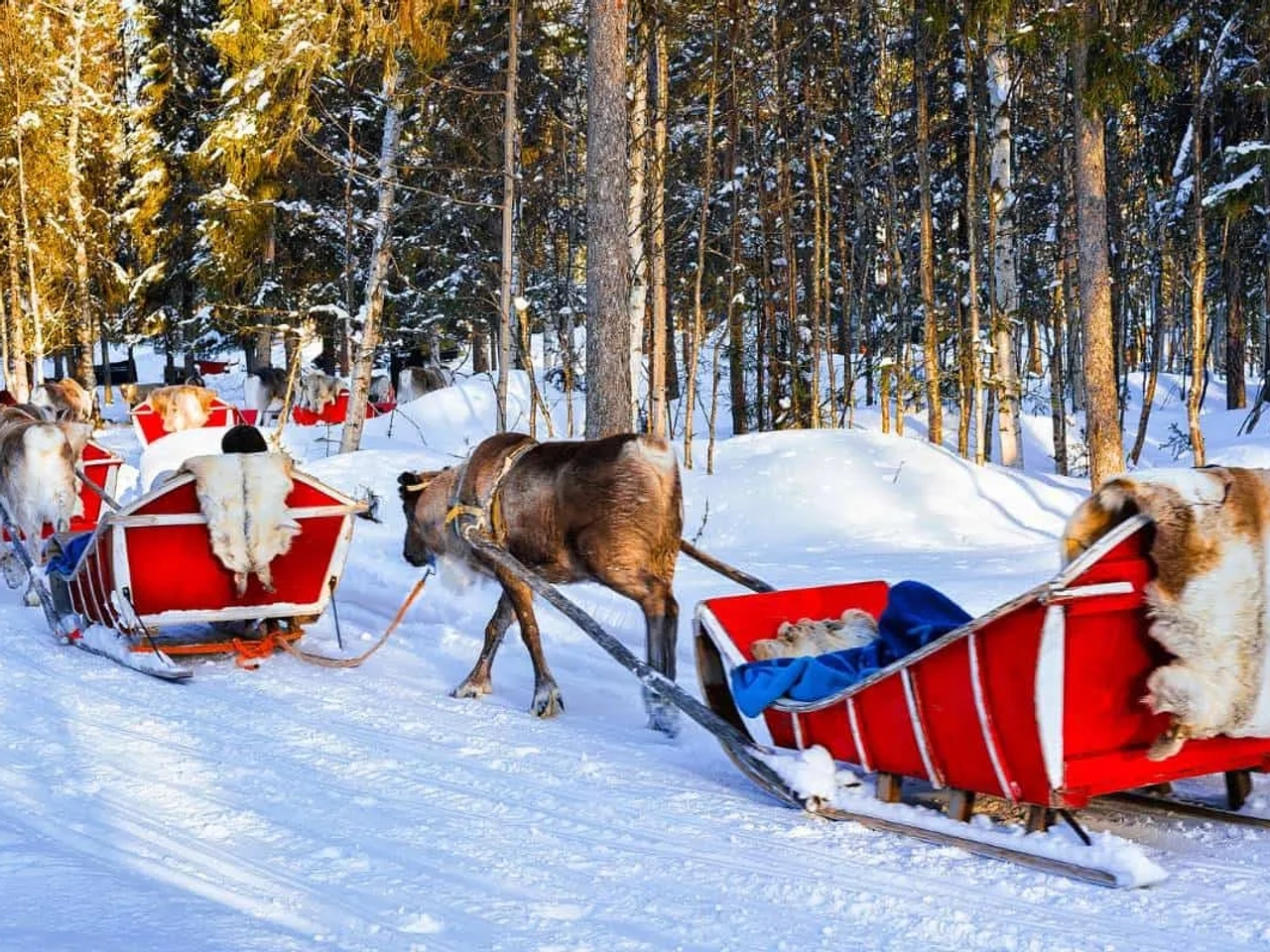viajar rovaniemi en navidad