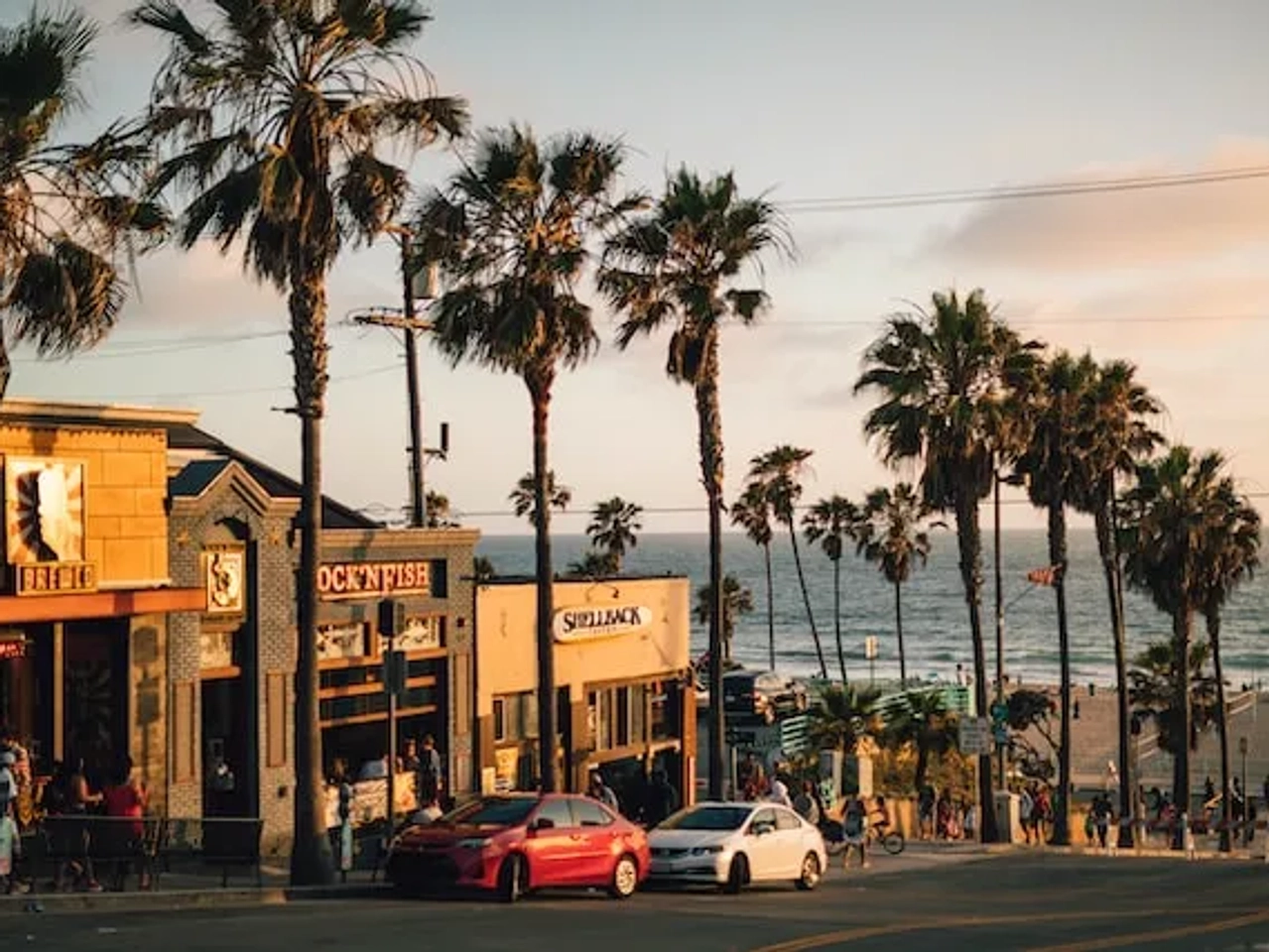 palm trees and cars in a street near a beach in the united states