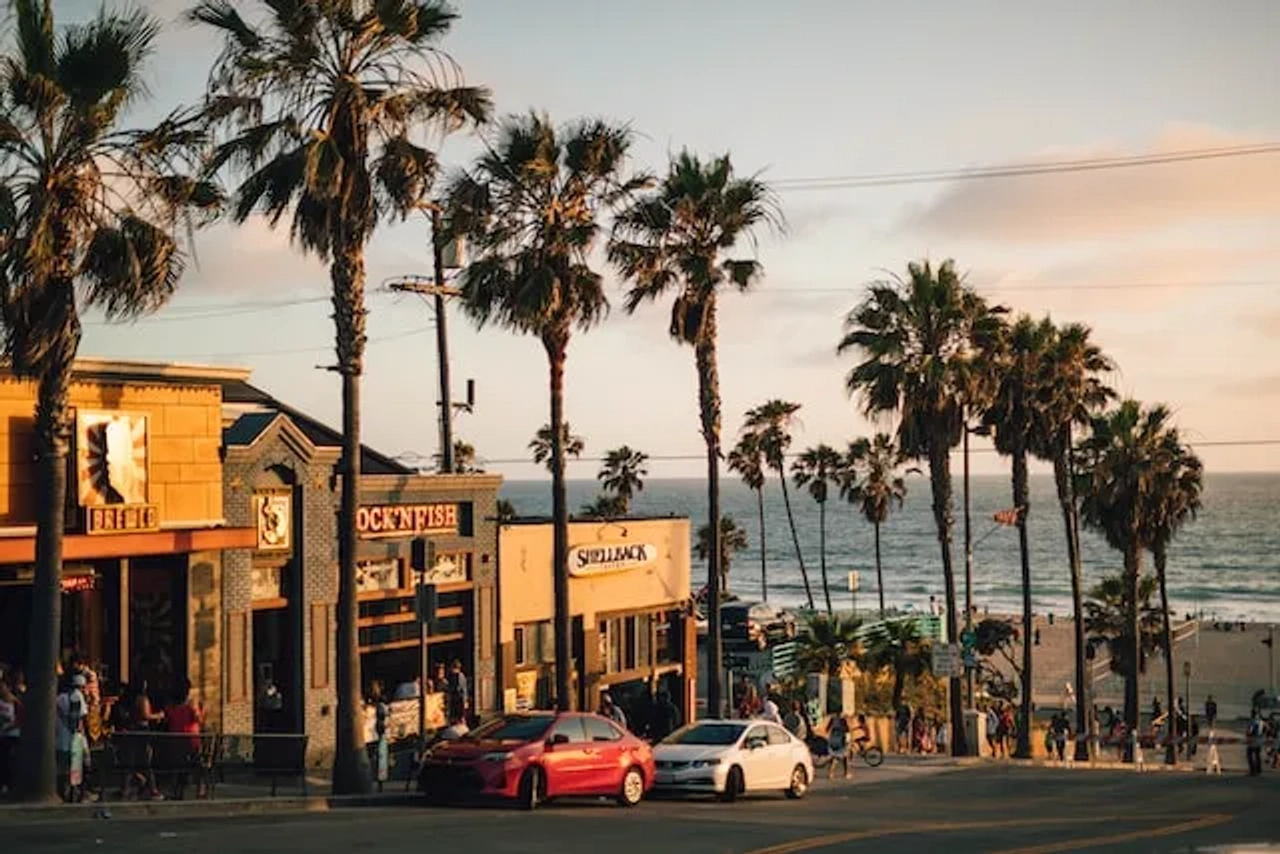 palm trees and cars in a street near a beach in the united states