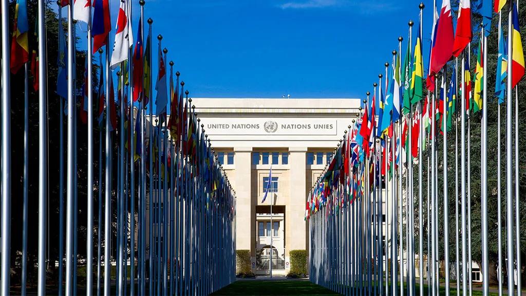 Nações Unidas Voluntariado