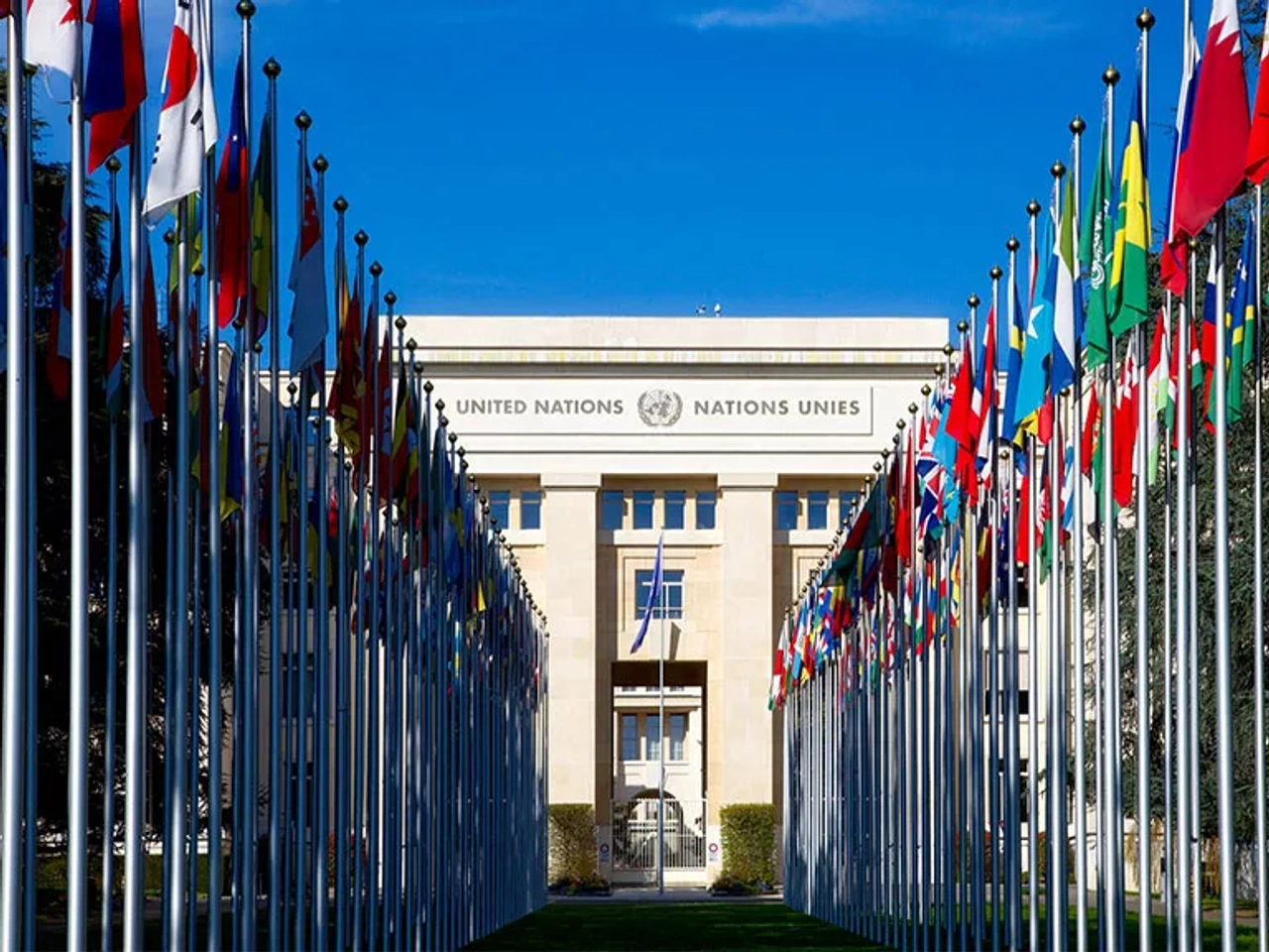 Nações Unidas Voluntariado