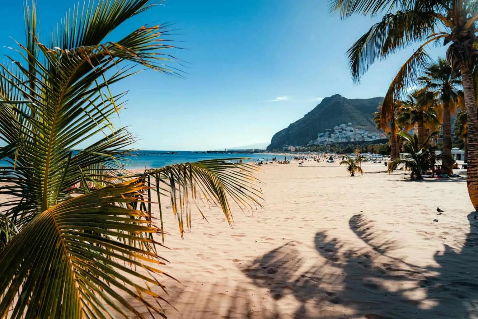 Praia ensolarada nas Ilhas Canárias, com palmeiras e montanhas ao fundo.