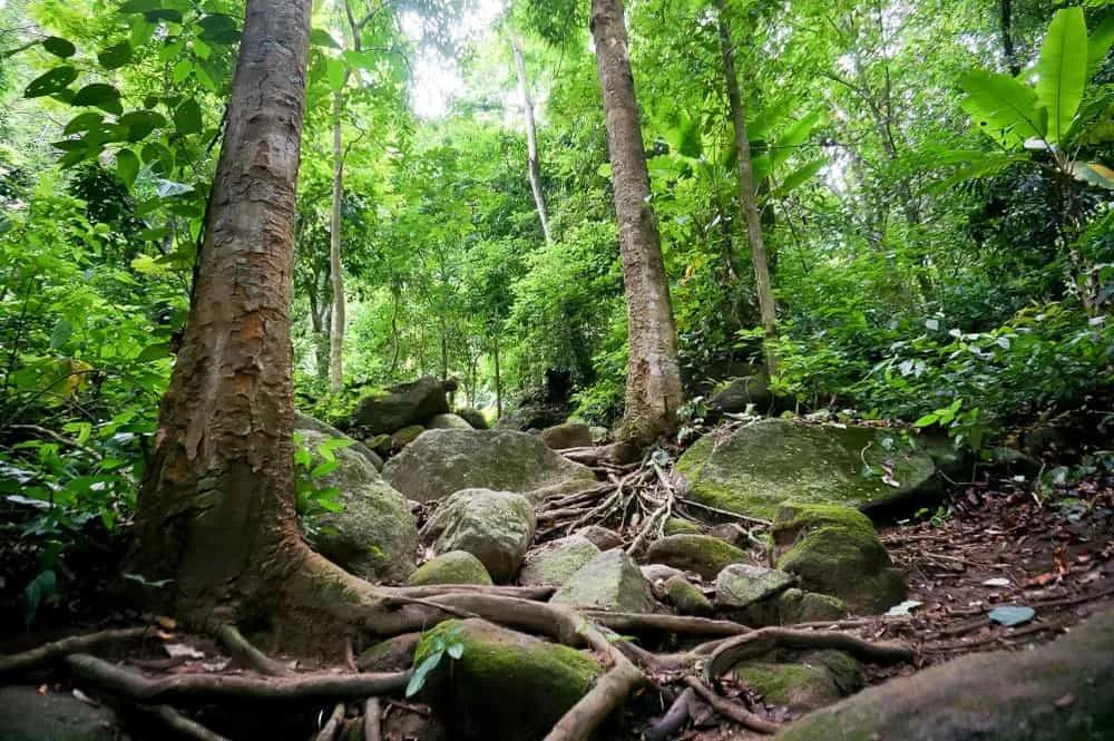 que ver cerca de Chiang Rai