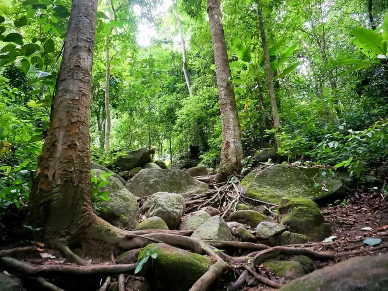 que ver cerca de Chiang Rai