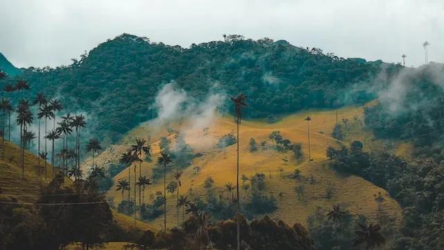 mountain with tress and foggy sky in colombia
