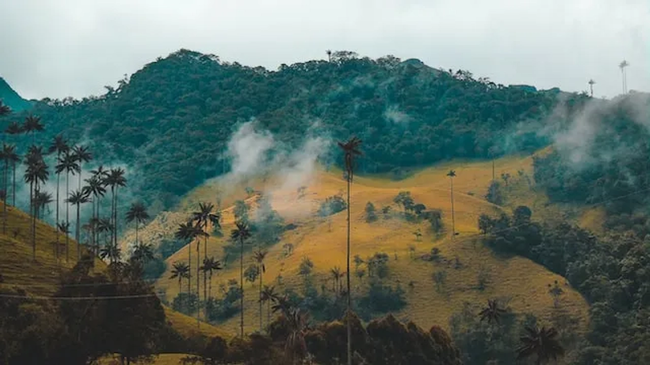 mountain with tress and foggy sky in colombia