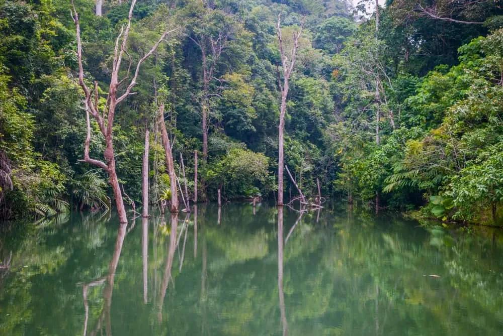 Khlong Chak Waterfall y Bat Cave