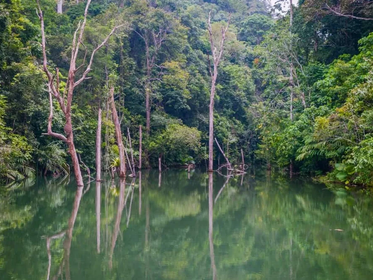 Khlong Chak Waterfall y Bat Cave