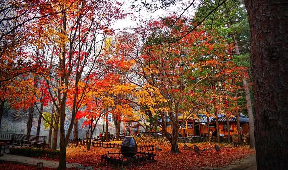 documentos para viaje a Corea del Sur