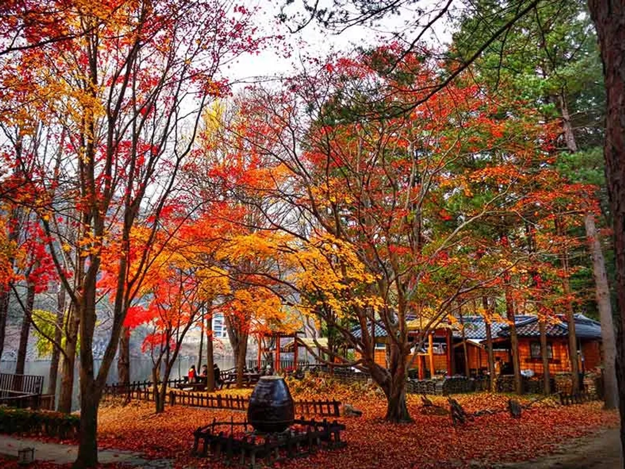 documentos para viaje a Corea del Sur