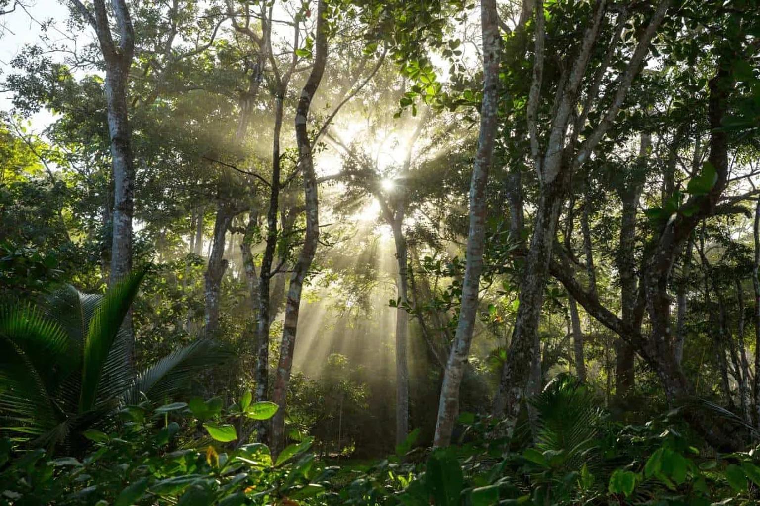Documentos para viaje a Costa Rica