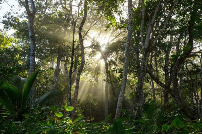 Requisitos para viajar a Costa Rica desde Colombia en 2025